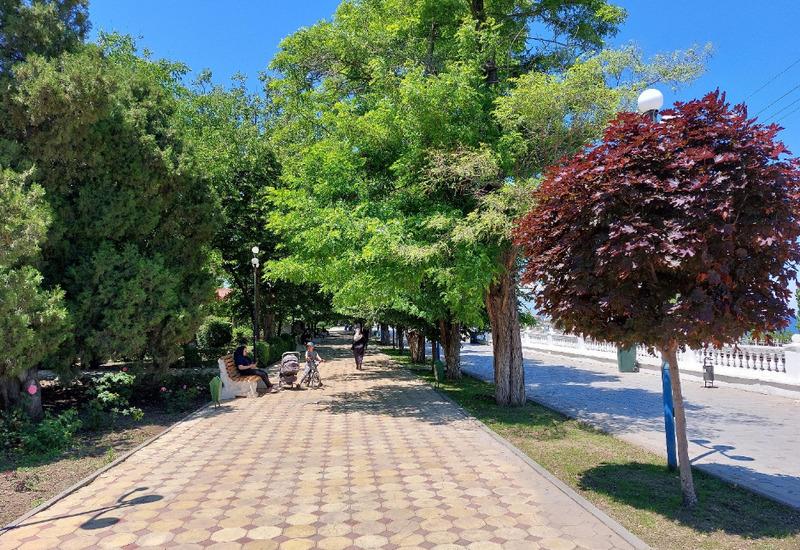 Родопский бульвар в Махачкале